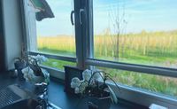 Blick aus dem Fenster in die Obstplantage